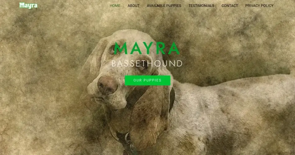 Is Mayrasbassethoundpuppies.shop legit?