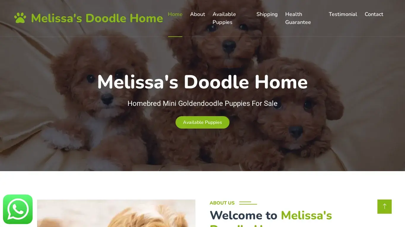 is Melissa's Doodle Home - Homebred Mini Goldendoodle Puppies For Sale legit? screenshot