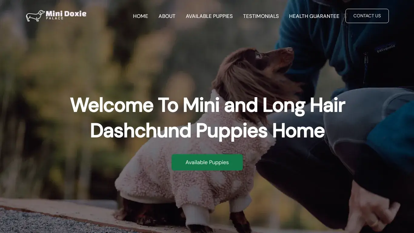 is Mini Doxie Palace – Mini and long hair Dachshund puppies legit? screenshot