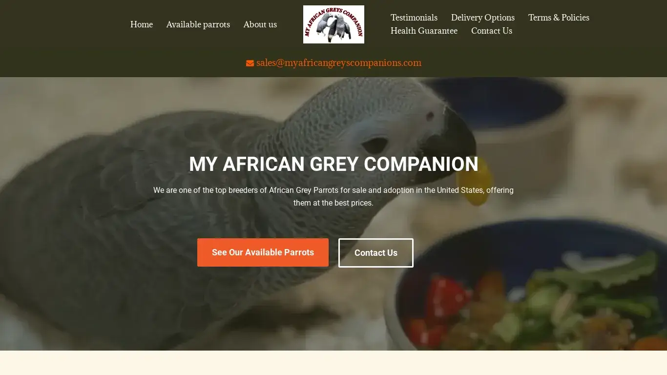 is My African Greys Companion – African Greys For Sa legit? screenshot