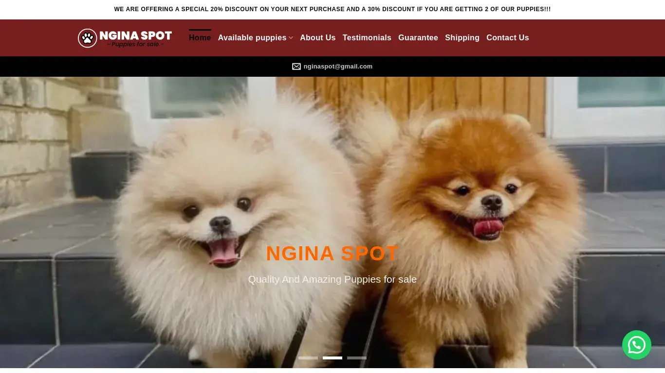 is Ngina Spot – nginaspot.com – Puppies for sale in Australia legit? screenshot