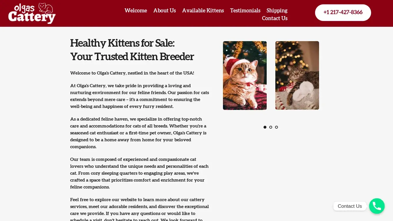is Olgas Cattery – Healthy Kittens for sale legit? screenshot