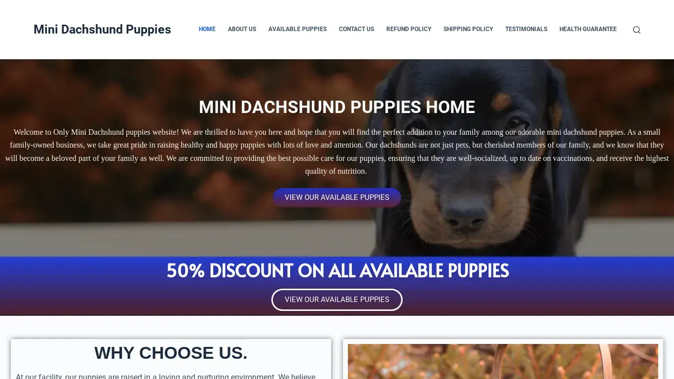 is Mini Dachshund Puppies – Buy Mini Dachshund Puppies In Australia legit? screenshot