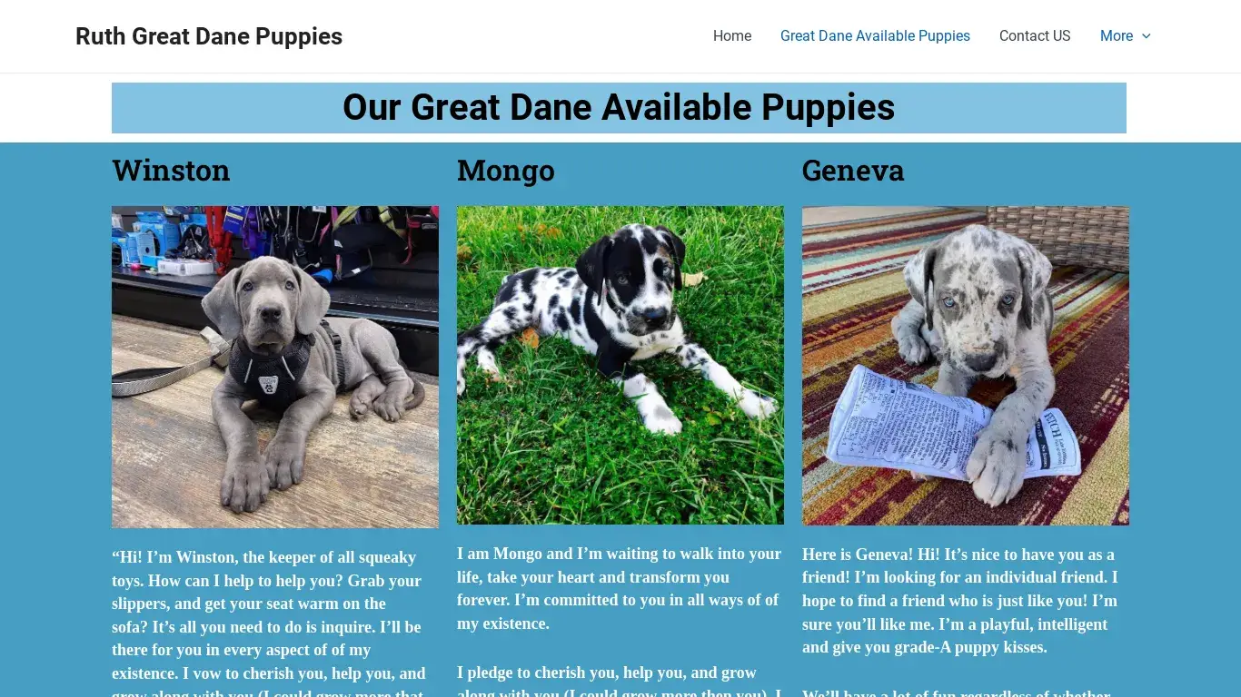 is Great Dane Available Puppies - Ruth Great Dane Puppies legit? screenshot