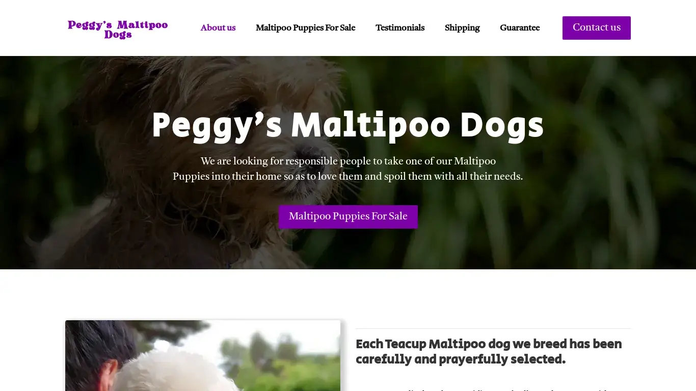 is Peggy’s Maltipoo Dogs legit? screenshot