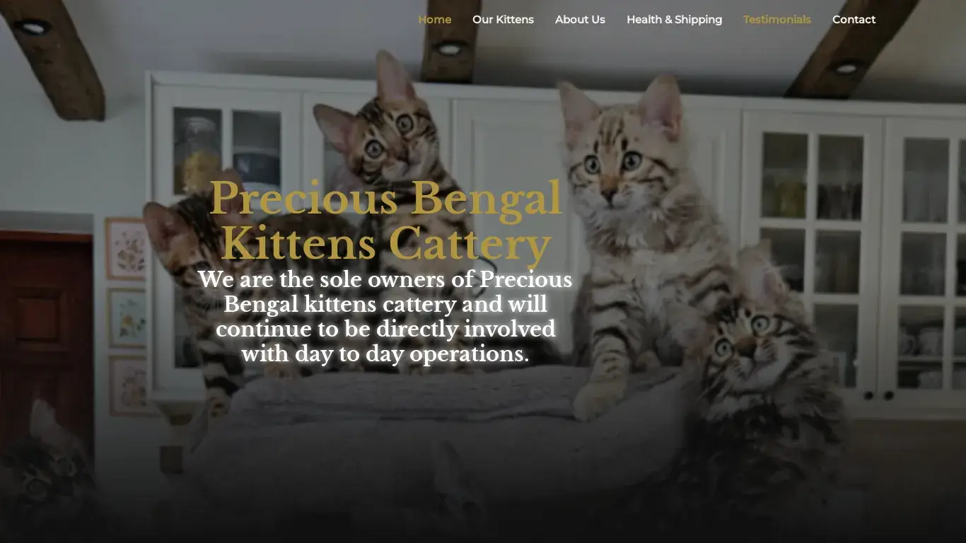 is Bengal Kittens For Sale legit? screenshot