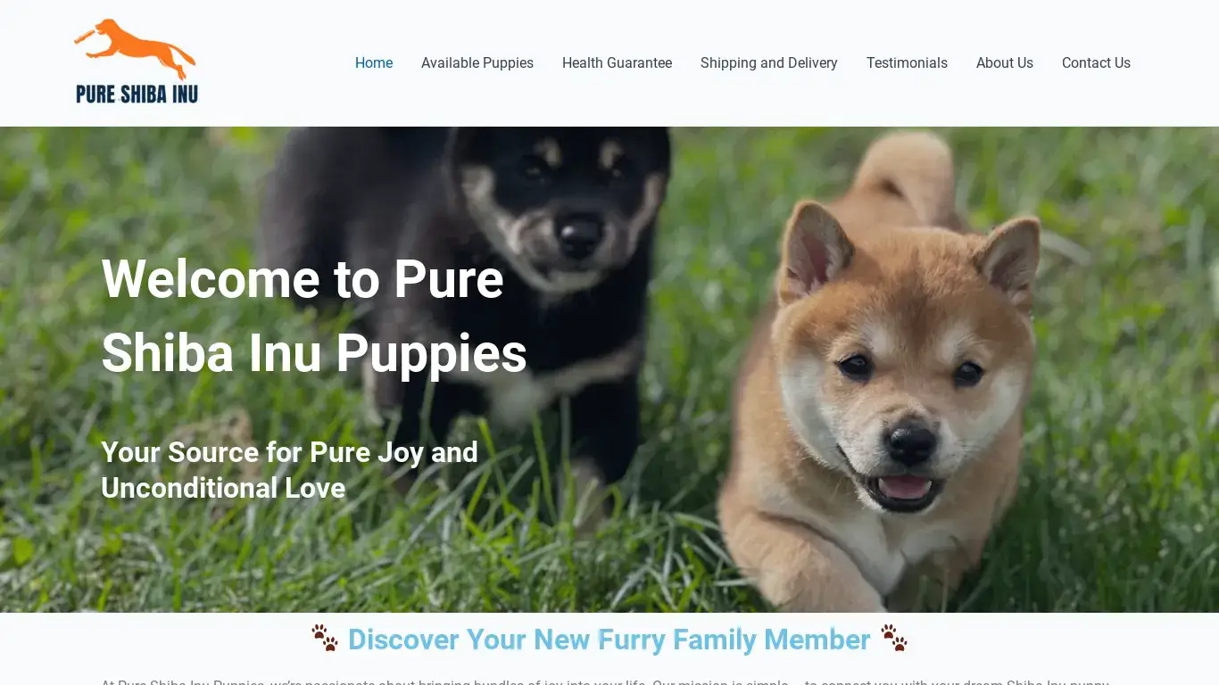 is Pure Shiba Inu Puppies legit? screenshot
