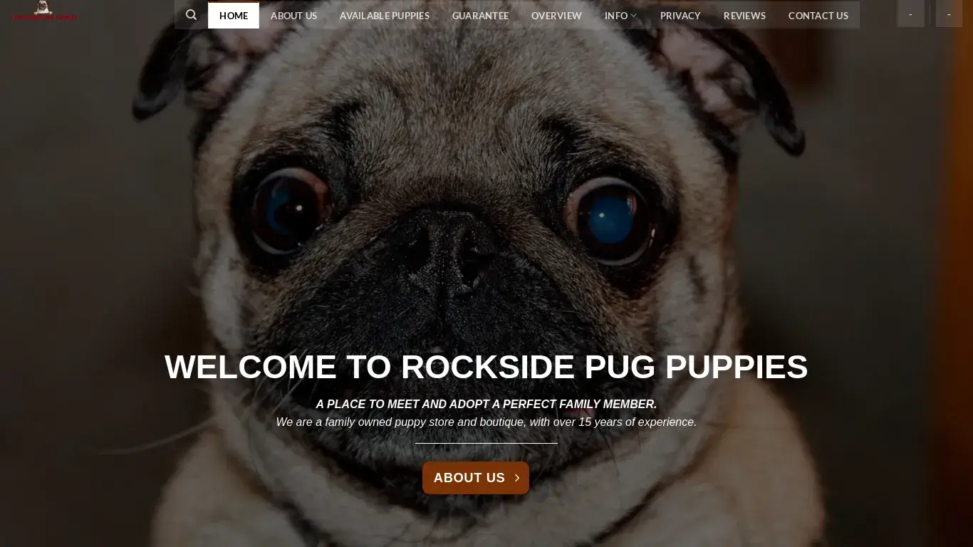 is Home - ROCKSIDE PUG PUPPIES legit? screenshot