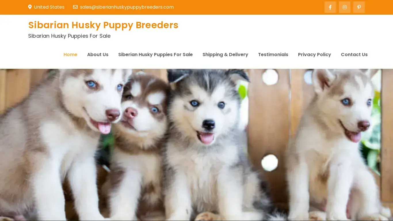 is Sibarian Husky Puppy Breeders – Sibarian Husky Puppies For Sale legit? screenshot