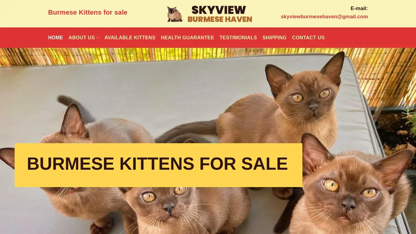 is Skyview Burmese Haven – Burmese Kittens for sale legit? screenshot