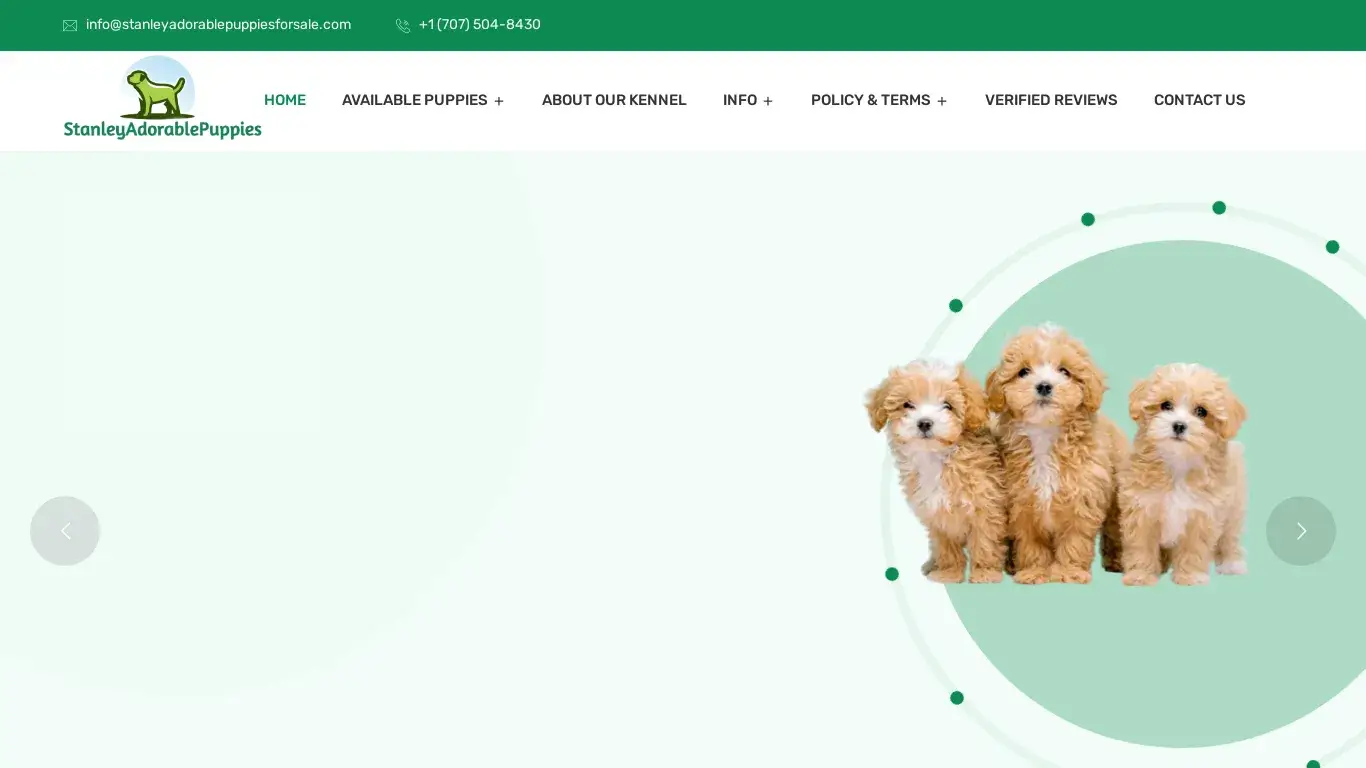 is Stanley’s Adorable Puppies – Purebred Teacup puppies For Sale legit? screenshot