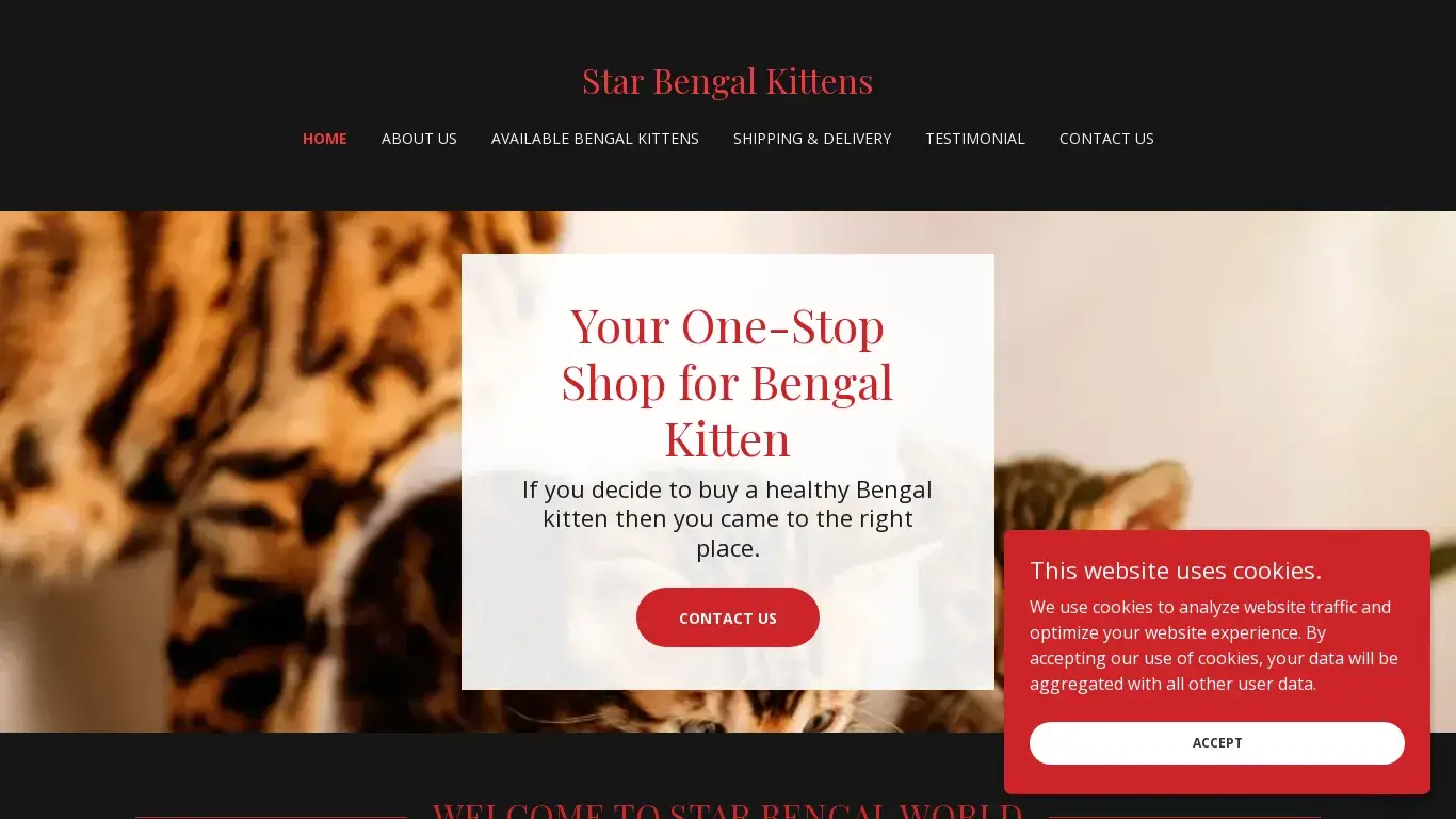 is star bengal kittens legit? screenshot