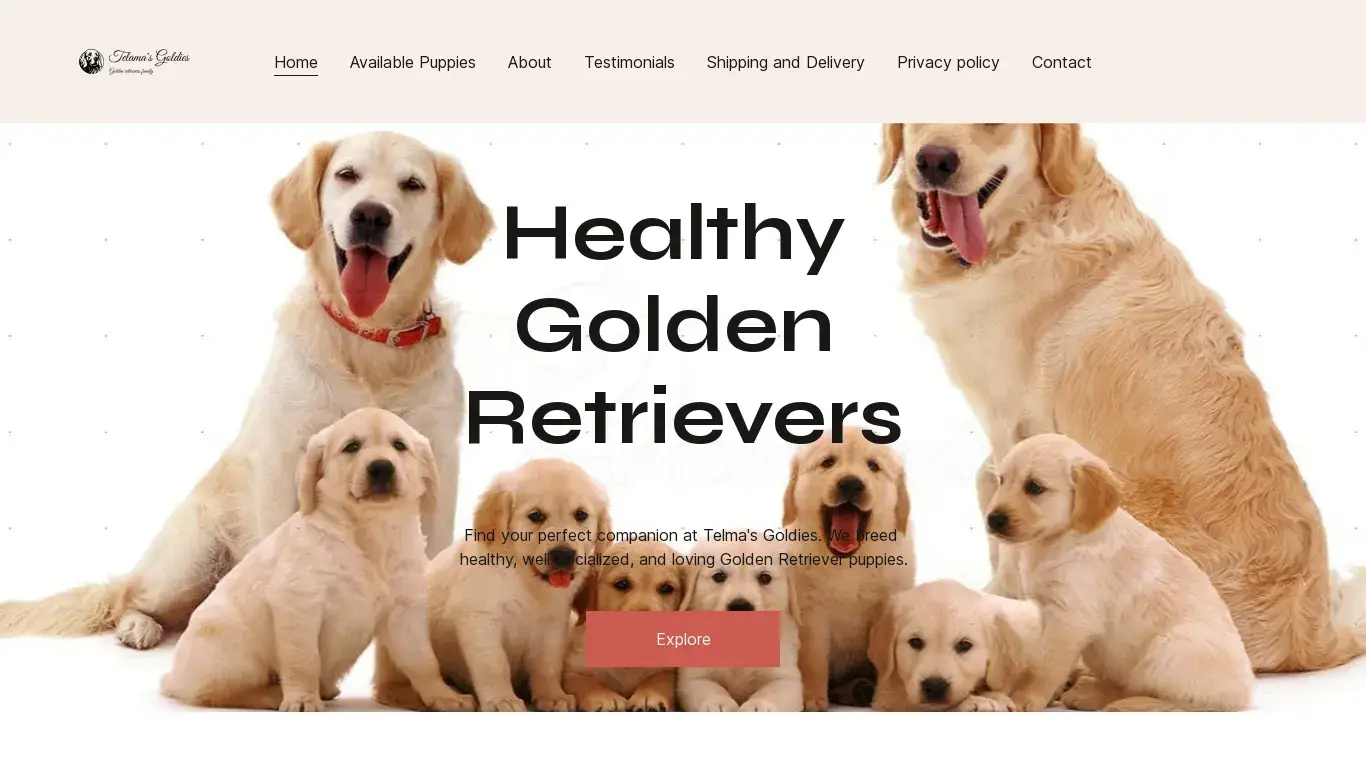 is Telma's Goldies - Healthy and Happy Golden Retriever Puppies | Telmas Golden Retrievers legit? screenshot