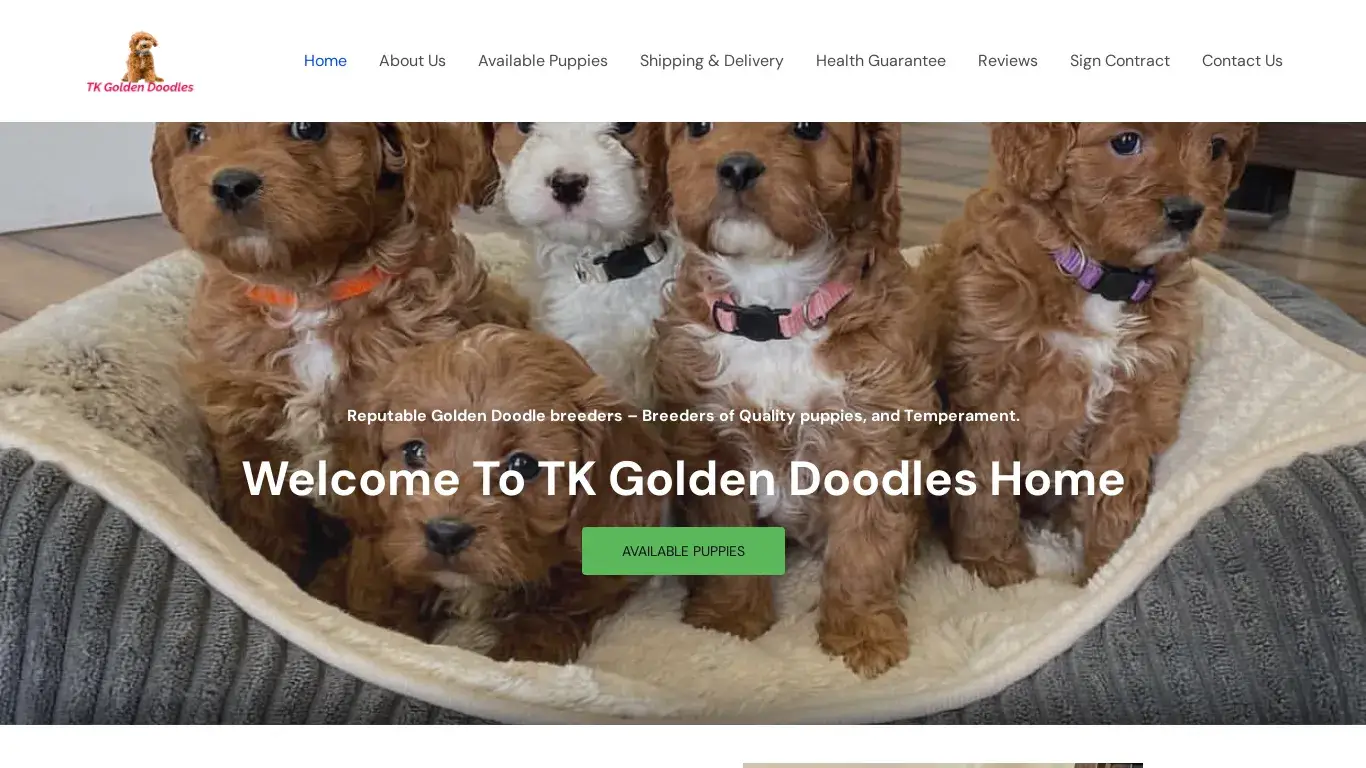 is Golden Doodle – TK Golden Doodle Puppies legit? screenshot