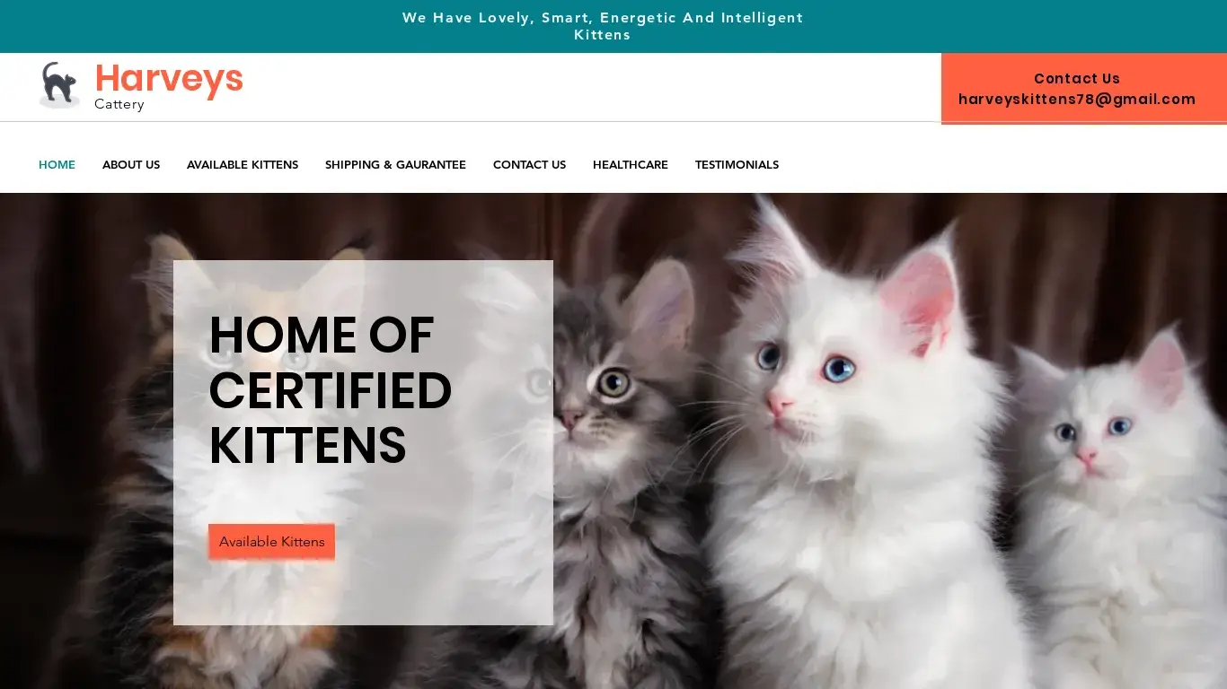is HOME | Kittens For Sale legit? screenshot