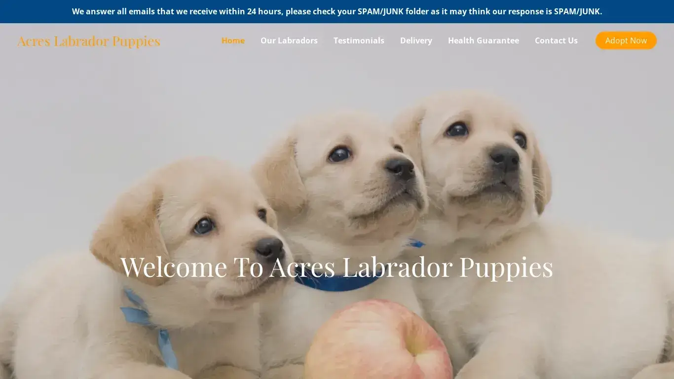 is Acres Labrador Puppies – Purebred Labradors For Sale legit? screenshot