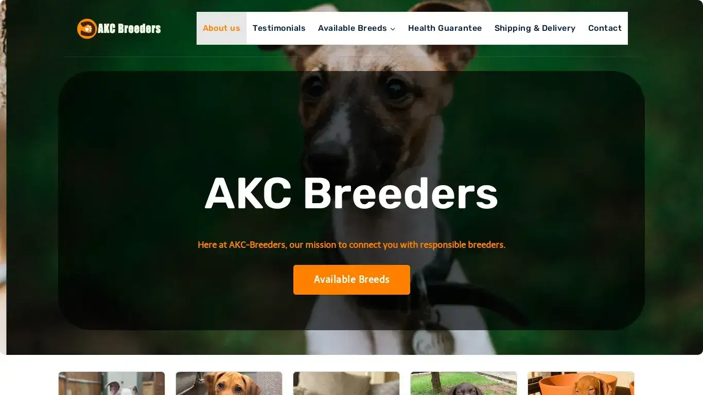 is AKC Breeders – Here at AKC-Breeders, our mission to connect you with responsible breeders. legit? screenshot