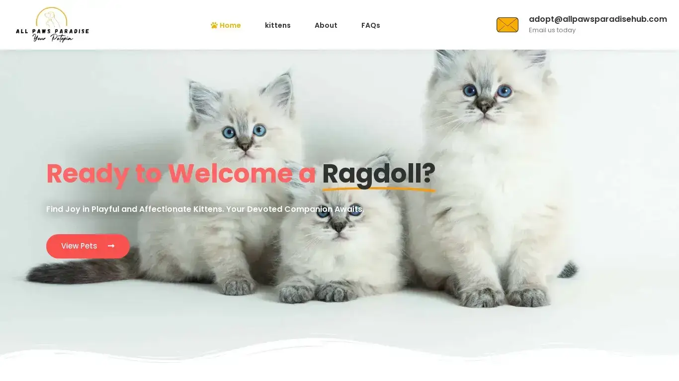 is Petopia - Premier Ragdoll Kittens & Feline Elegance legit? screenshot