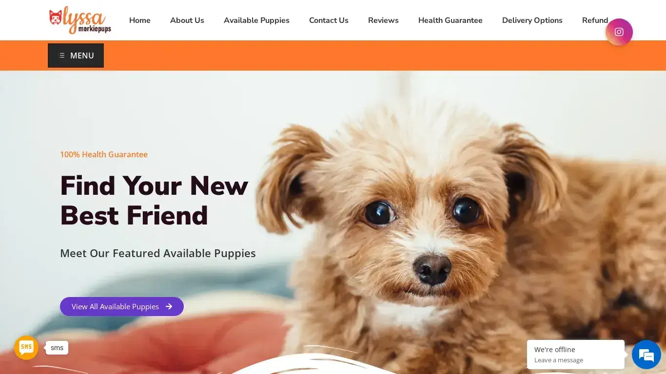 is Alyssa Morkie Puppies For Sales – We want to find the newest member of your family. Meet our Morkie puppies virtually. Meet your Morkie virtually. Our nannies can help deliver your puppy across the US. legit? screenshot