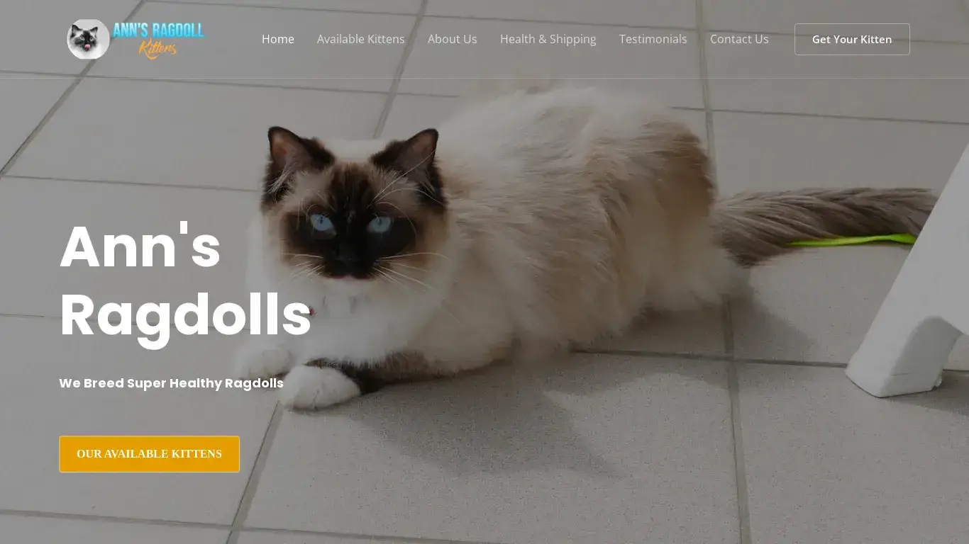 is Ann’s Ragdolls – Ann’s Ragdoll Kittens For Sale legit? screenshot