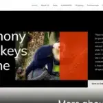 Is Anthonymonkeyhome.com legit?