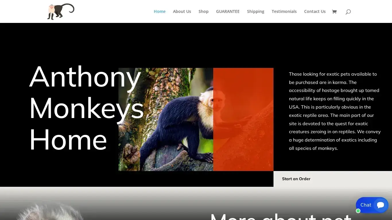 is Anthony Monkeys Home | Adopt A Cute Monkey legit? screenshot