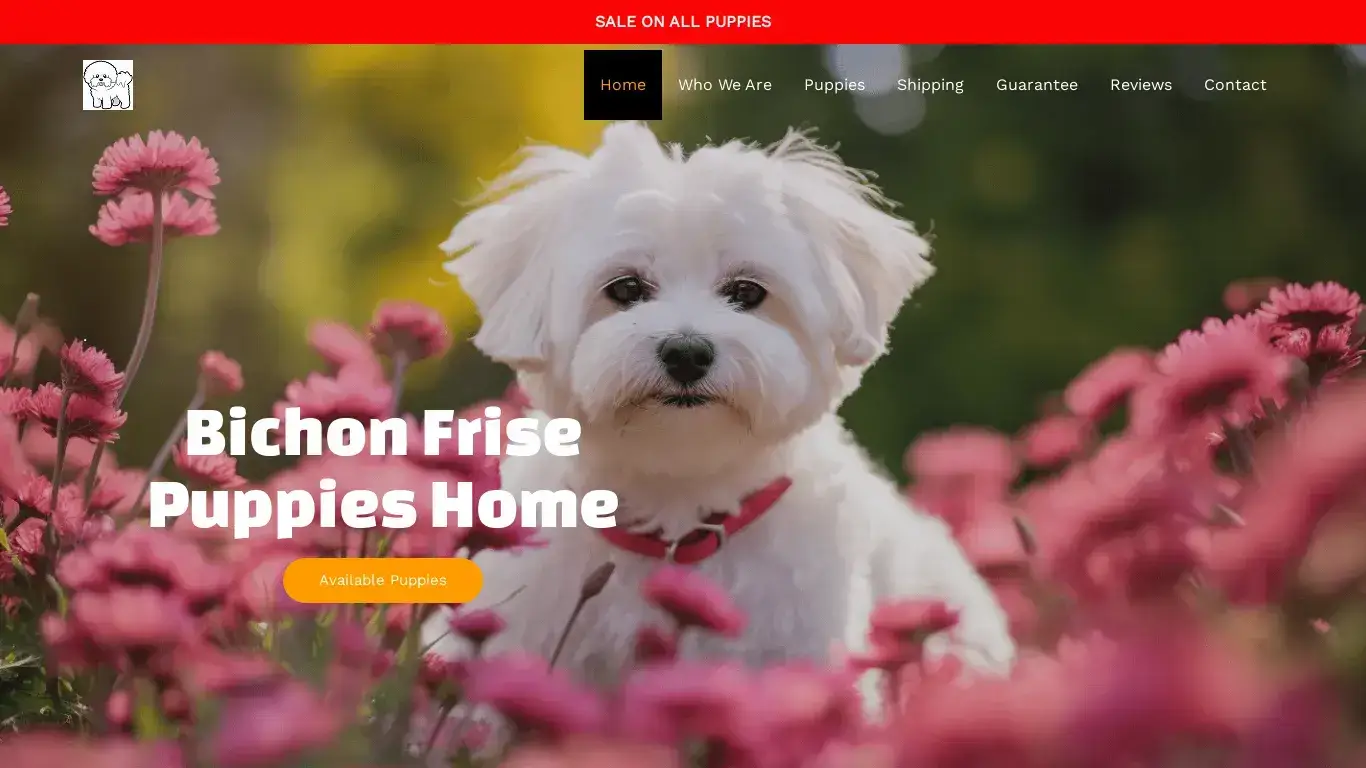 is Bichon Frise Home – Bichon Frise Puppies legit? screenshot