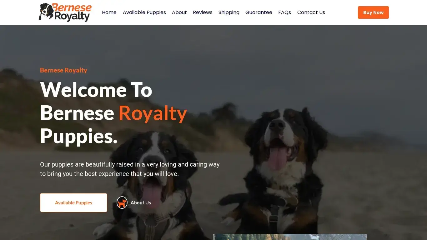 is Bernese Royalty – Bernese Royalty Puppies legit? screenshot