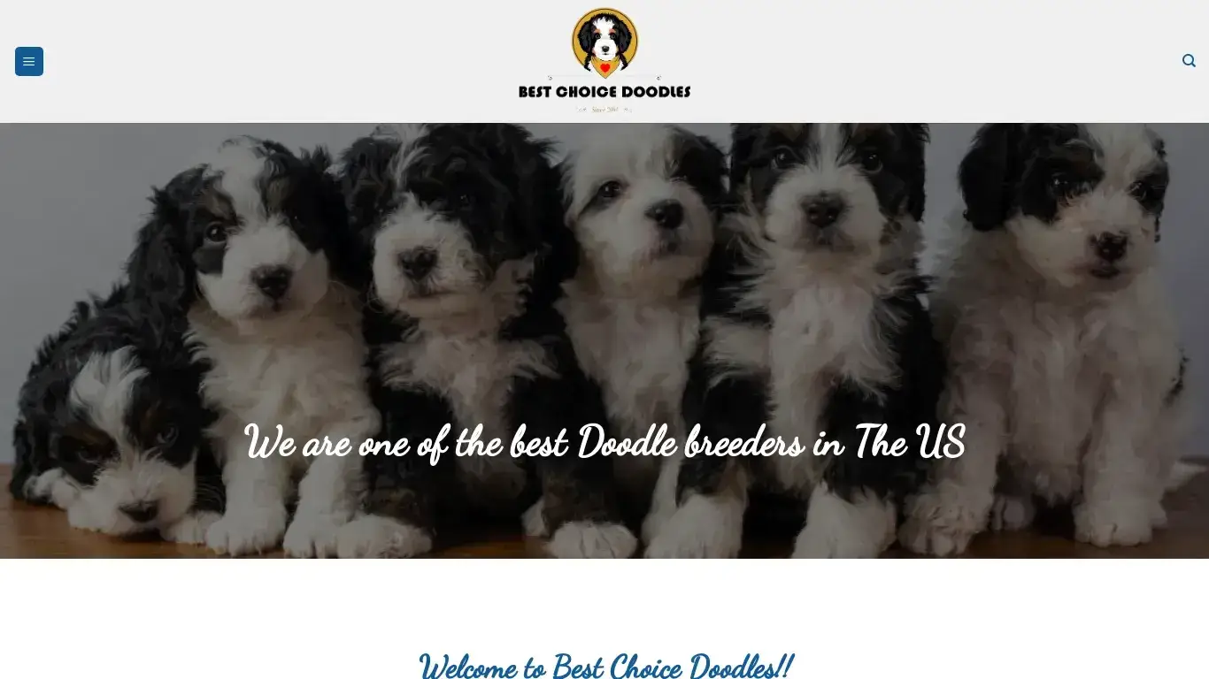is BEST CHOICE DOODLES – Best place to buy Bernedoodles and Sheepadoodles online legit? screenshot