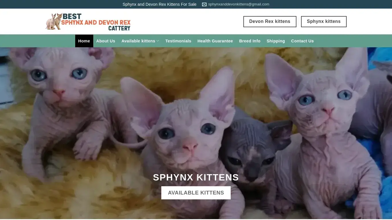 is Best Sphynx and Devon Rex Cattery – Sphynx and Devon Rex Kittens for sale legit? screenshot