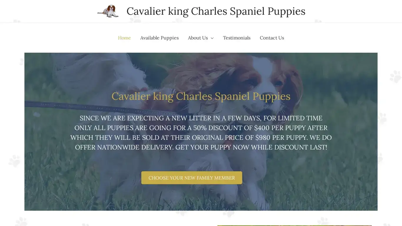 is Cavalier king Charles Spaniel Puppies legit? screenshot