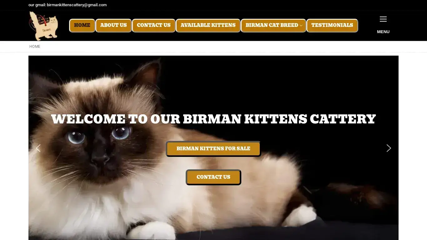 is birman kittens for sale - Birman cat price, Birman cat legit? screenshot