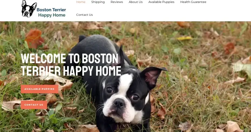 Is Bostonterrierhappyhome.com legit?