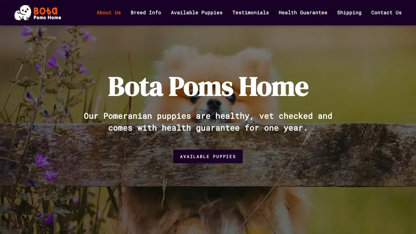 is Bota Poms Home | Welcome legit? screenshot