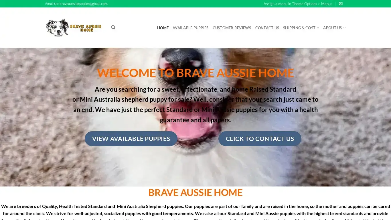 is Brave Aussie Home – Adorable Aussie puppies for sale legit? screenshot
