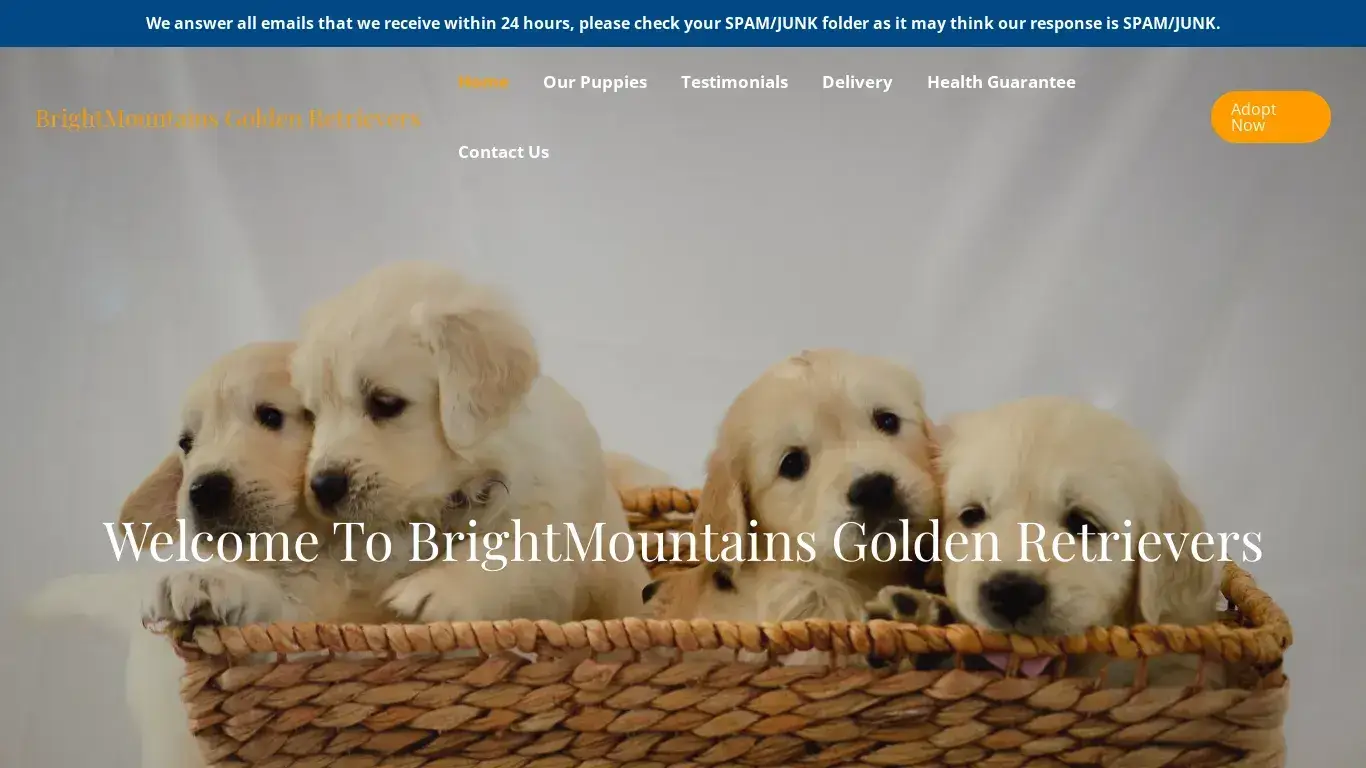 is BrightMountains Golden Retrievers – Purebred Golden Retrievers For Sale legit? screenshot