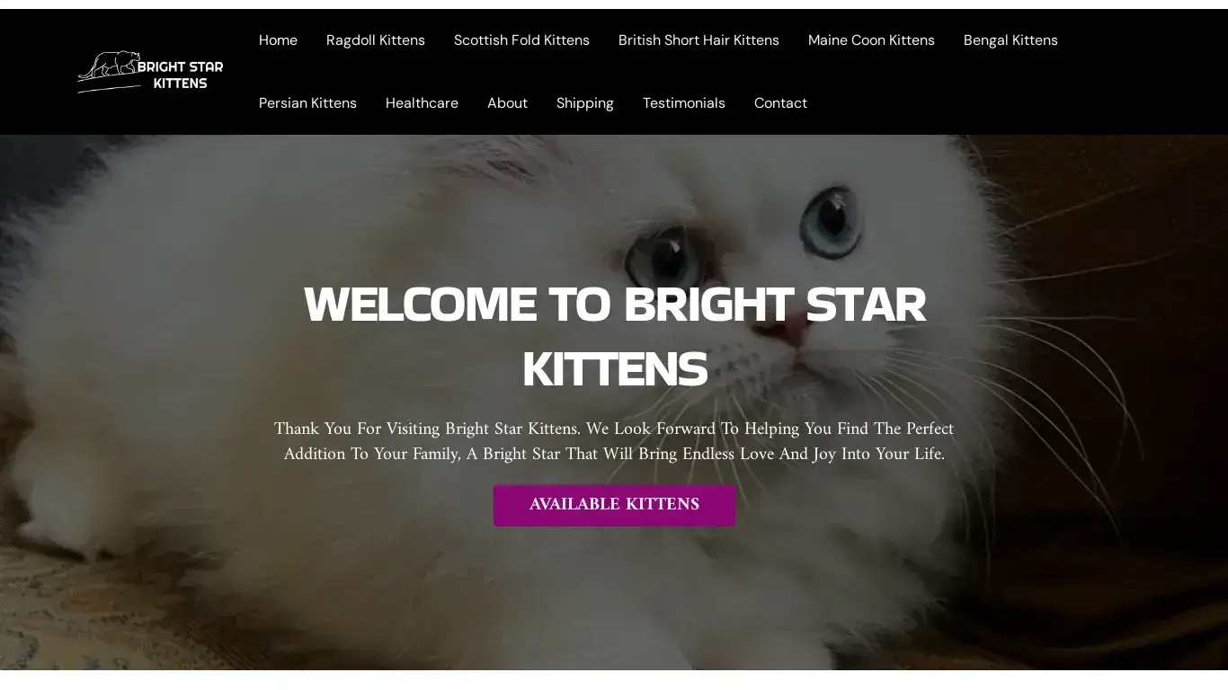 is Bright Star Kittens legit? screenshot