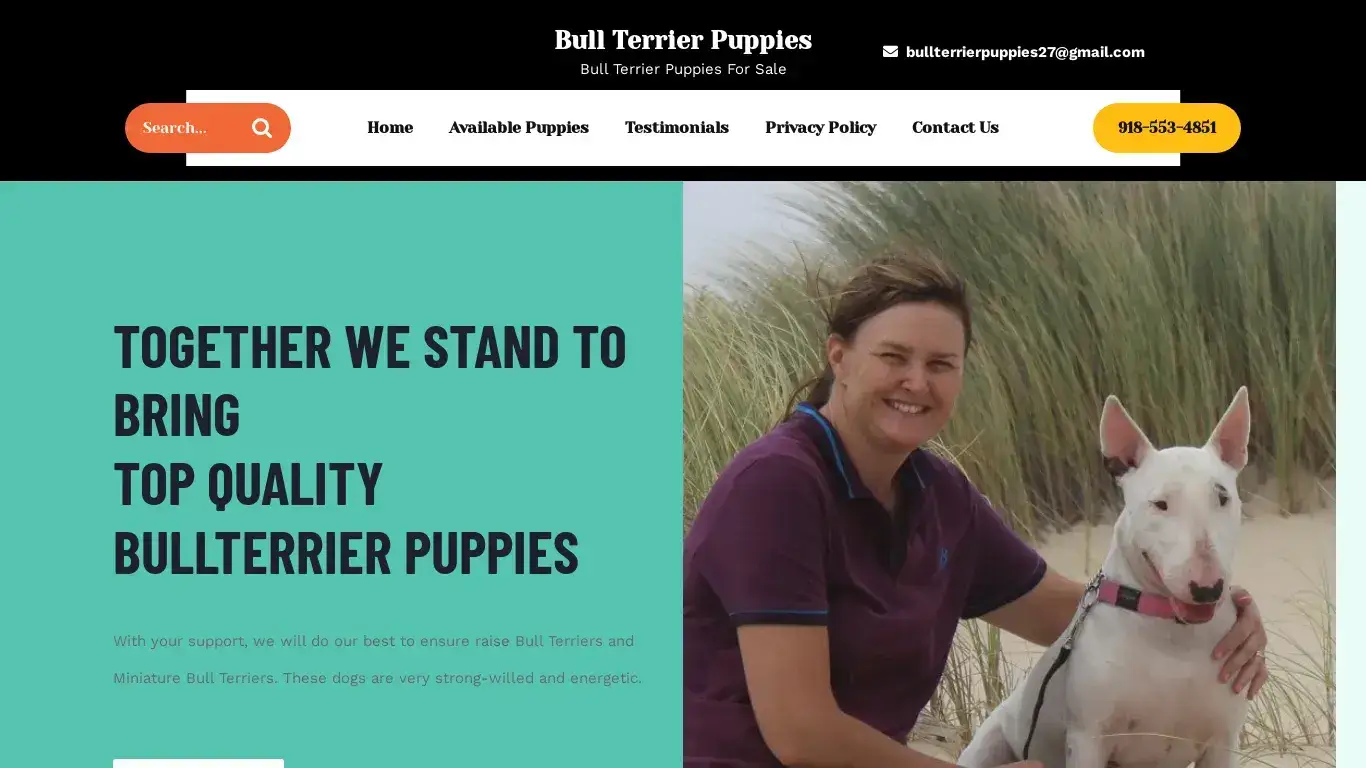 is Bull Terrier Puppies – Bull Terrier Puppies For Sale legit? screenshot