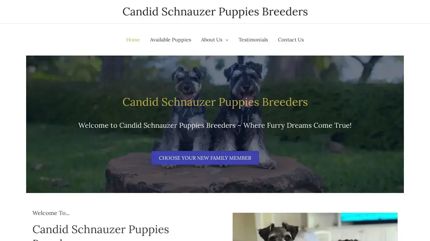 is Candid Schnauzer Puppies Breeders legit? screenshot
