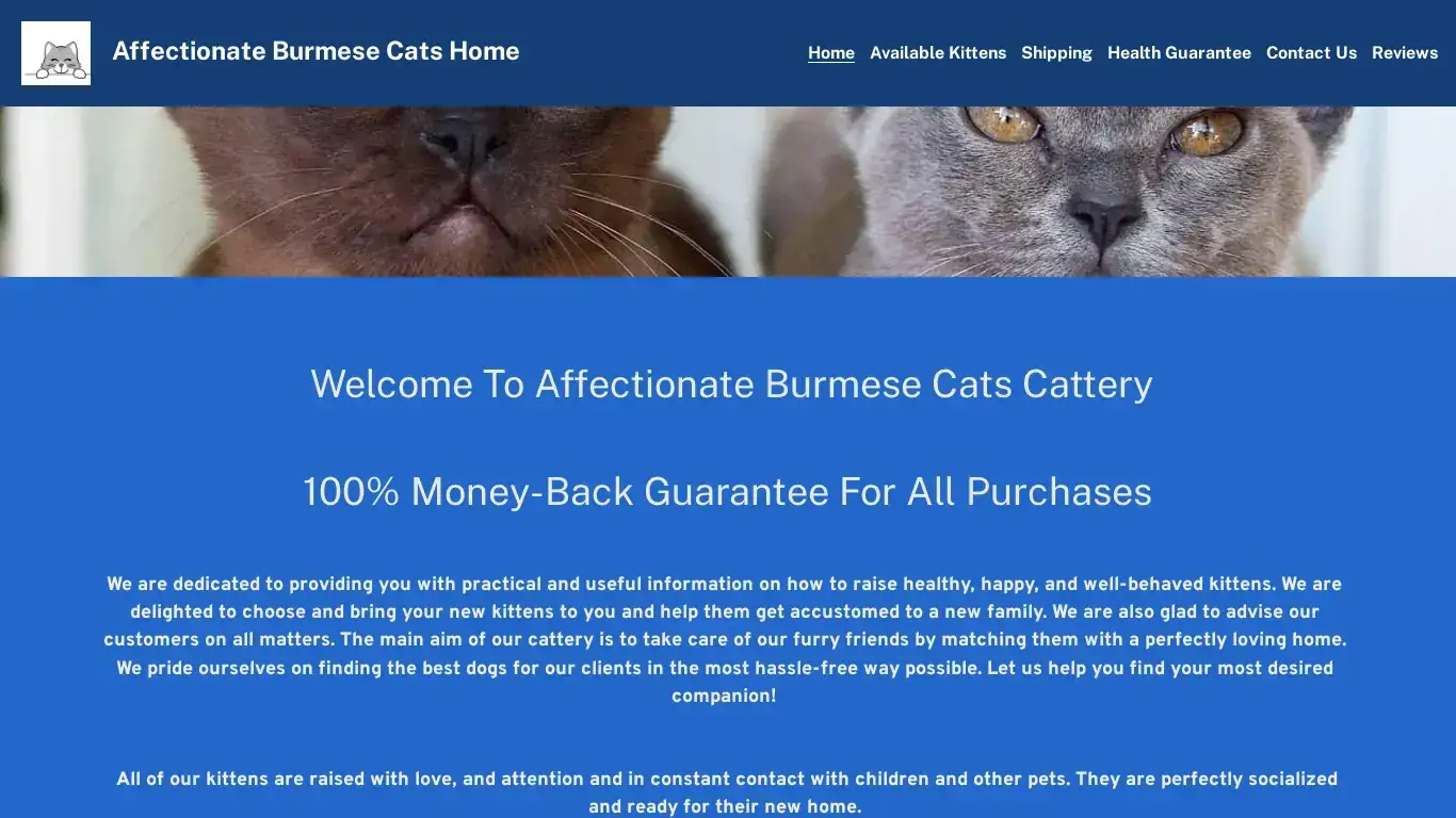is Burmese Cats legit? screenshot