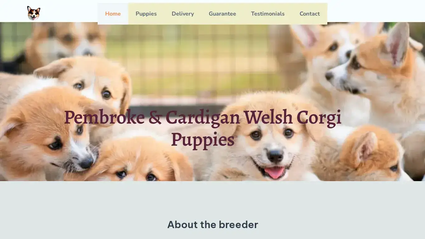 is Pembroke & Cardigan Puppies – Pembroke Welsh Corgi Puppies legit? screenshot
