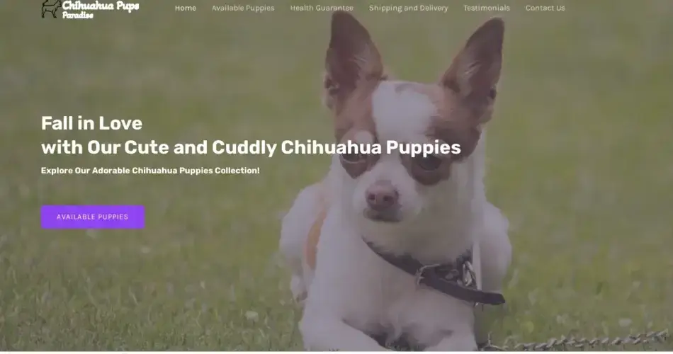 Is Chihuahuapupsparadise.com legit?