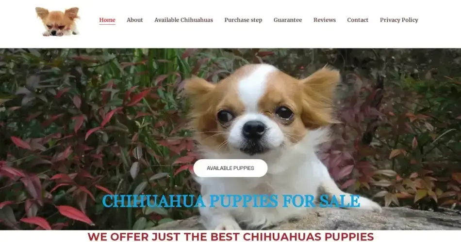 Is Chihuahuashaven.com legit?