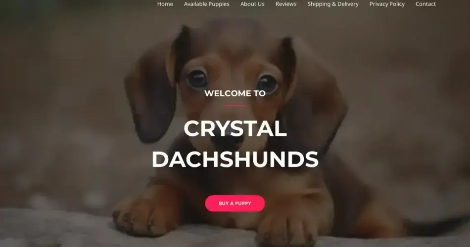 Is Crystaldachshunds.shop legit?