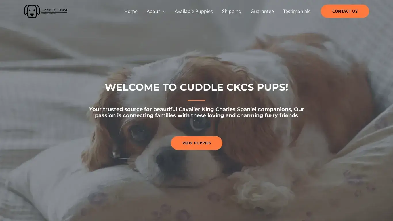 is Cuddle CKCS Pups legit? screenshot