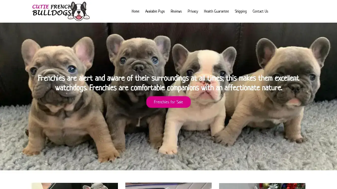 is Home - Cutie French Bulldogs legit? screenshot