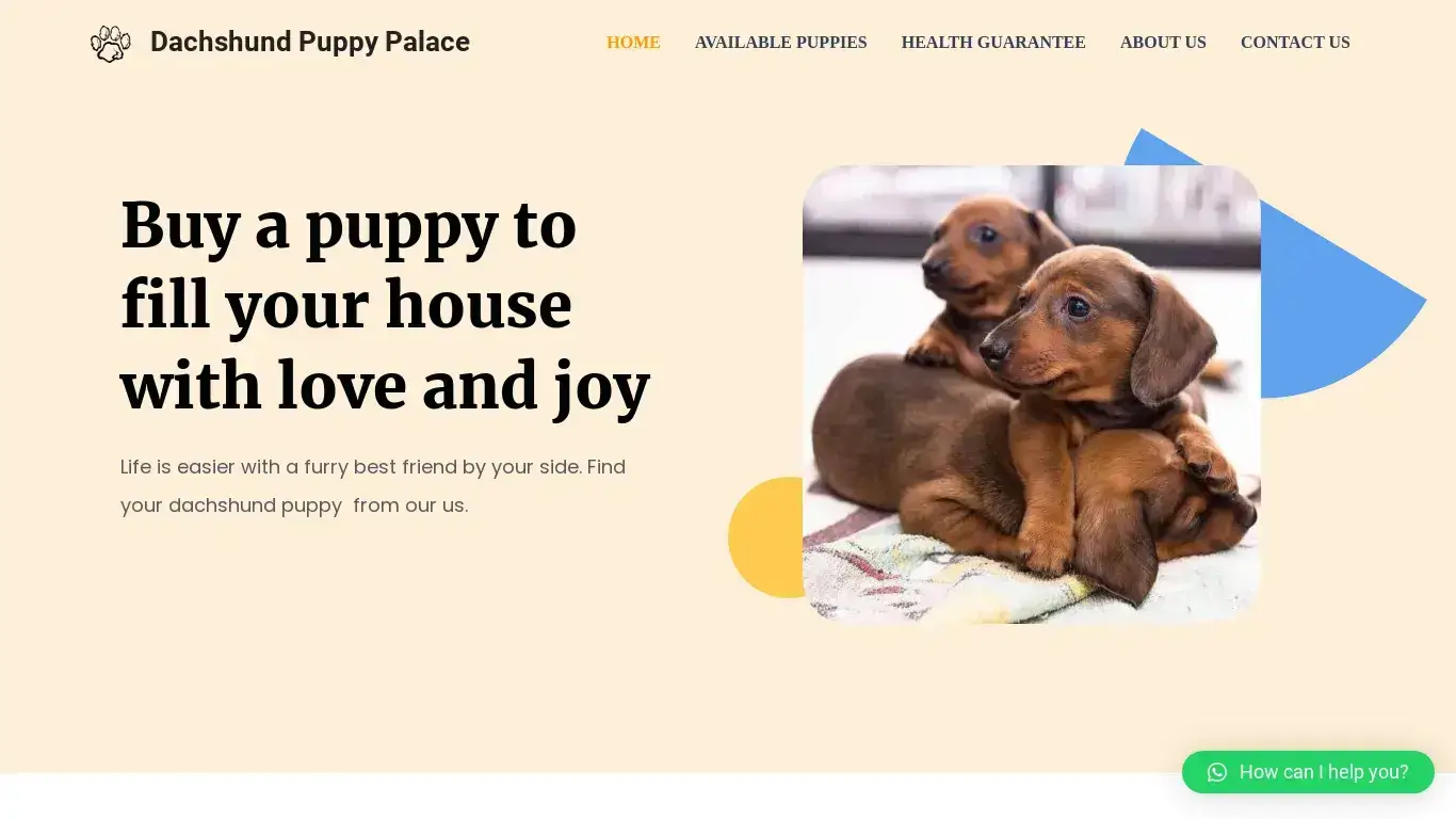 is Dachshund Puppy Palace – Adorable Dachshund Puppies legit? screenshot