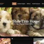 Is Daleshih-tzushouse.com legit?