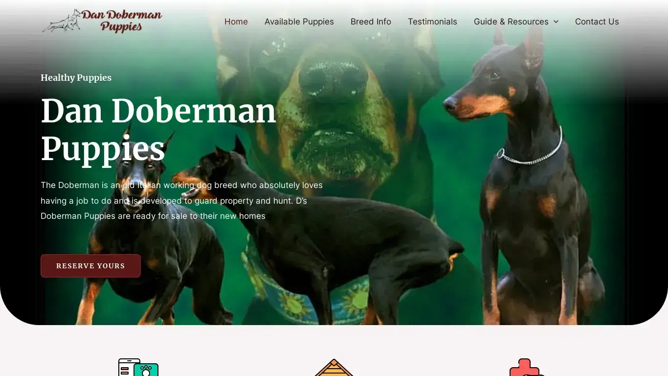 is Dan Doberman Puppies – Home of Amazing Puppies For Sale legit? screenshot