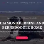 Is Diamondbernehome.com legit?